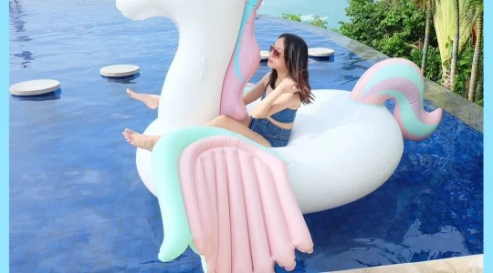 ビッグポニー